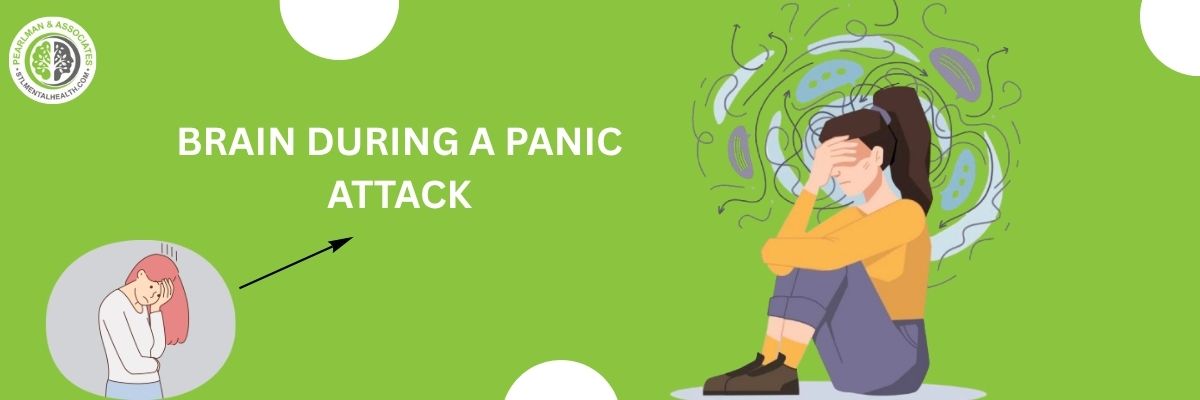 BRAIN DURING A PANIC ATTACK