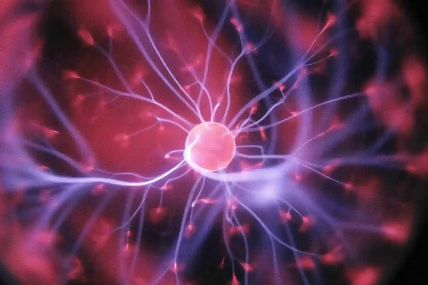 Neuroplasticity neural network brain therapy | Pearlman & Associates